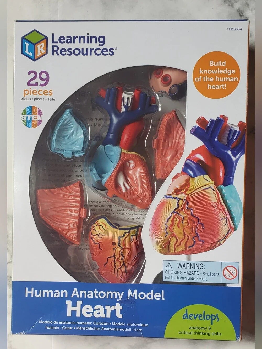 NEW Human Heart Anatomy Model Educational Biology 29-Pieces Learning Resources